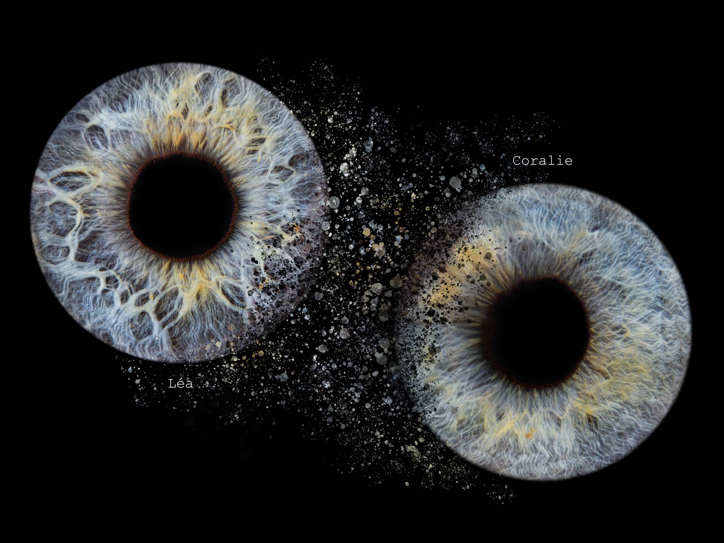 Photo - Iris - Diapo-10-min