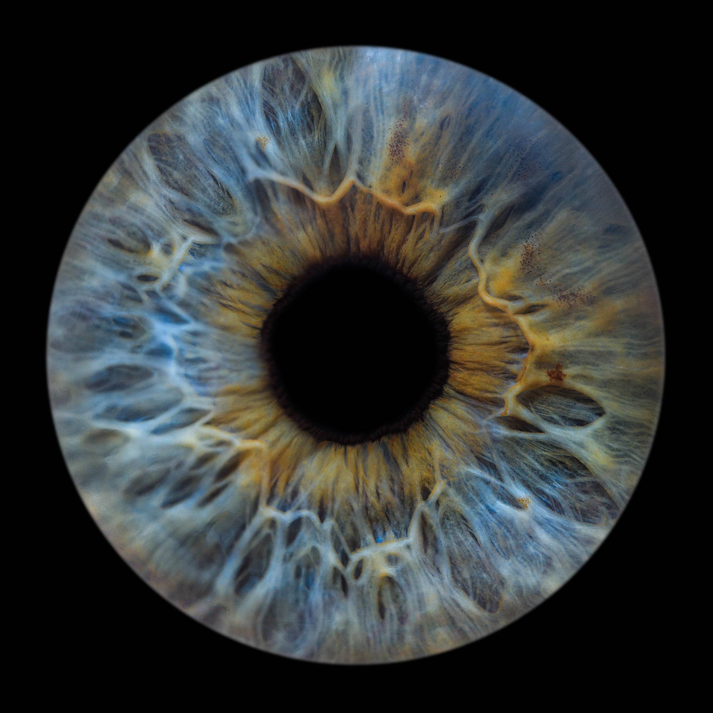 Photo - Iris - Diapo-6-min