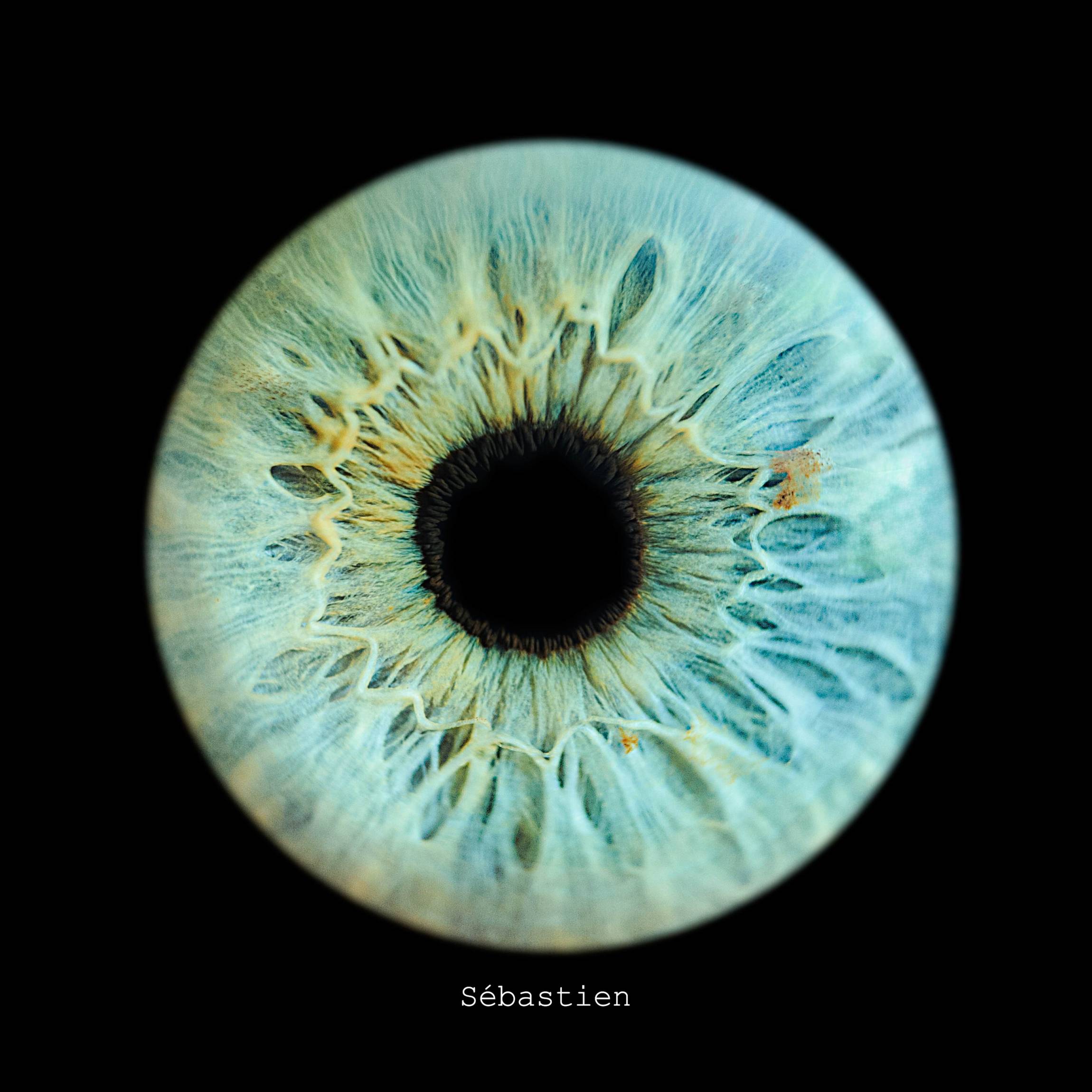 Photo - Iris - Diapo-2-min