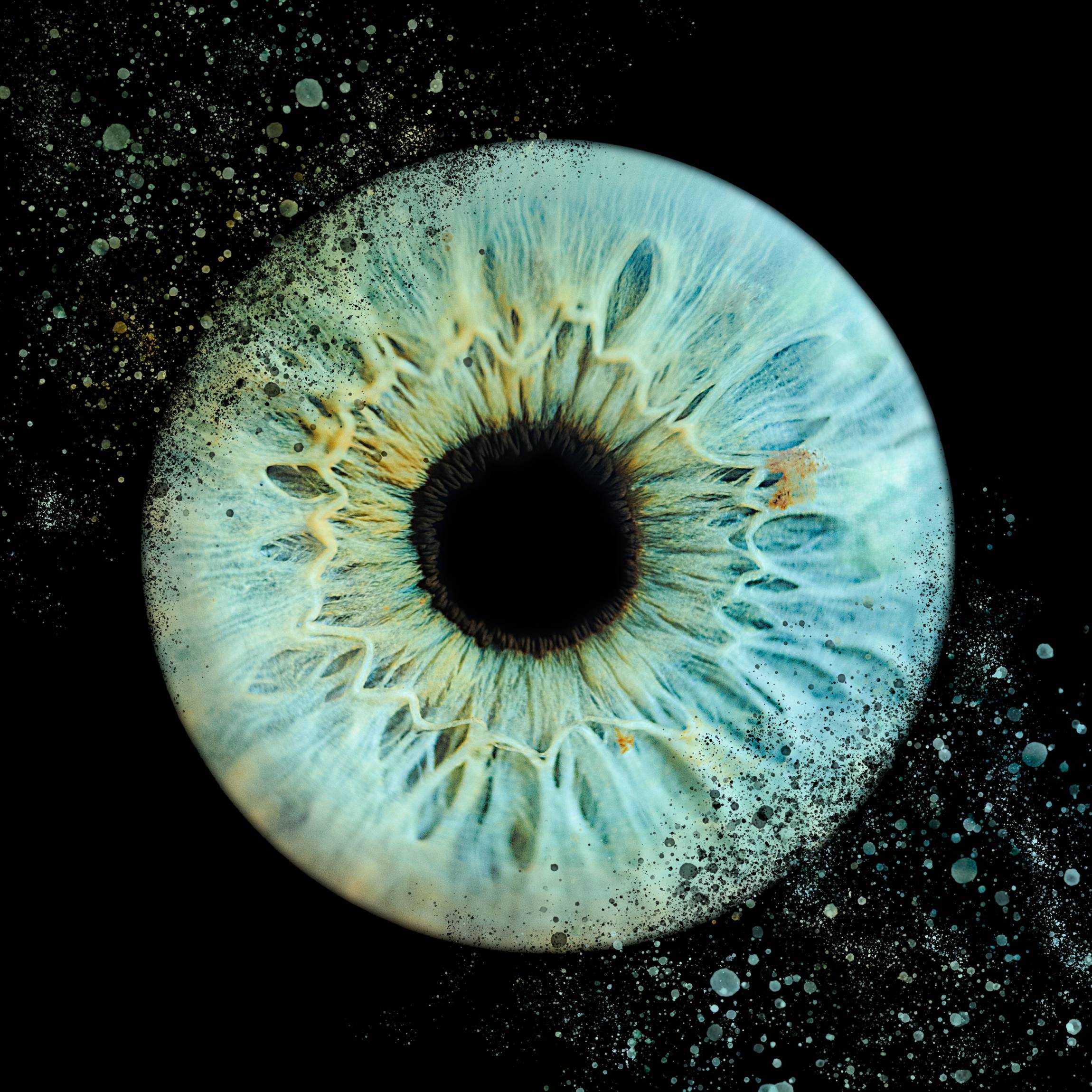 Photo - Iris - Diapo-3-min