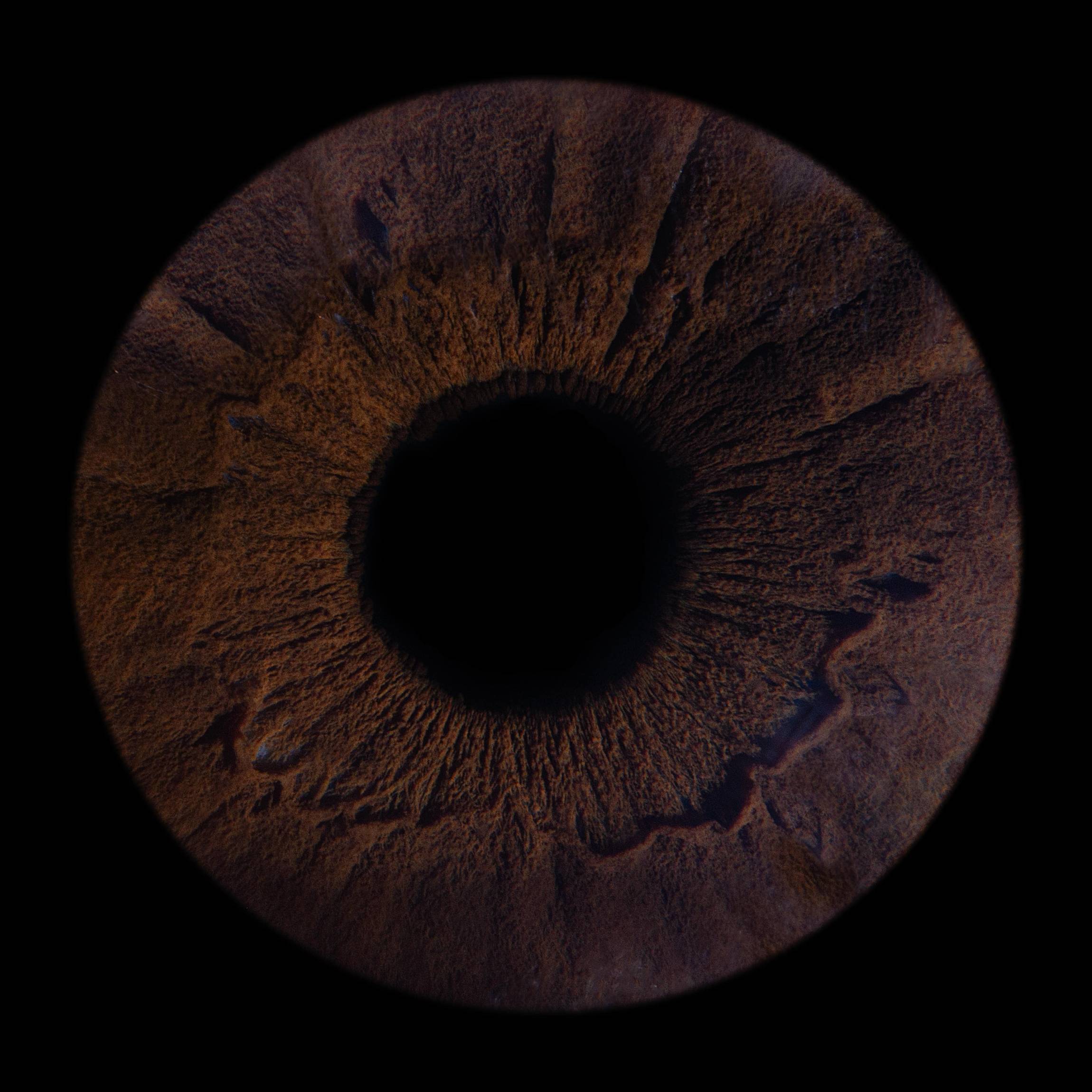 Photo - Iris - Diapo-12-min