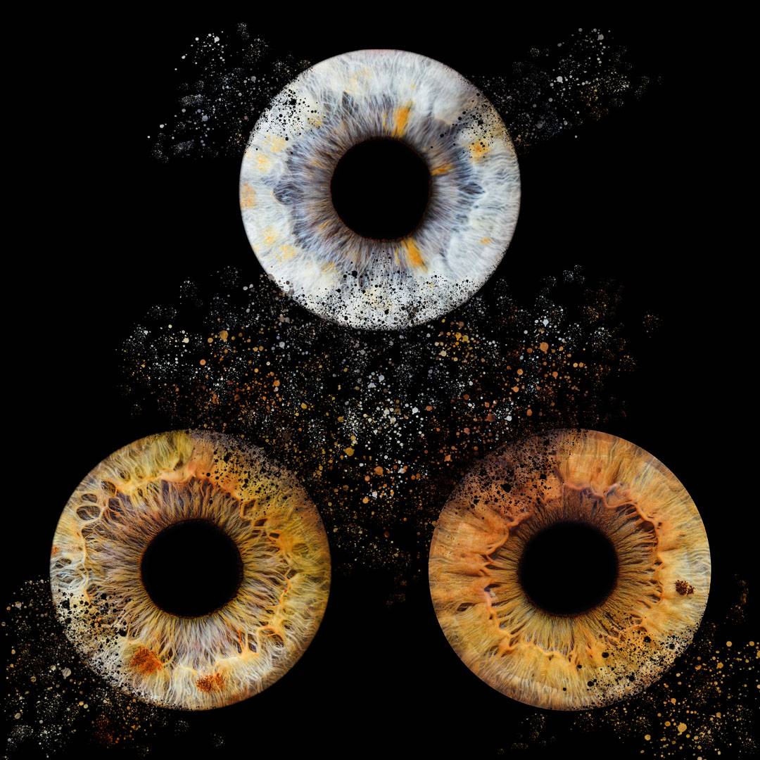 iris (2)